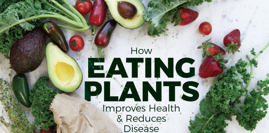 Eat Plants, Feel Whole: The Plant-Based Diet