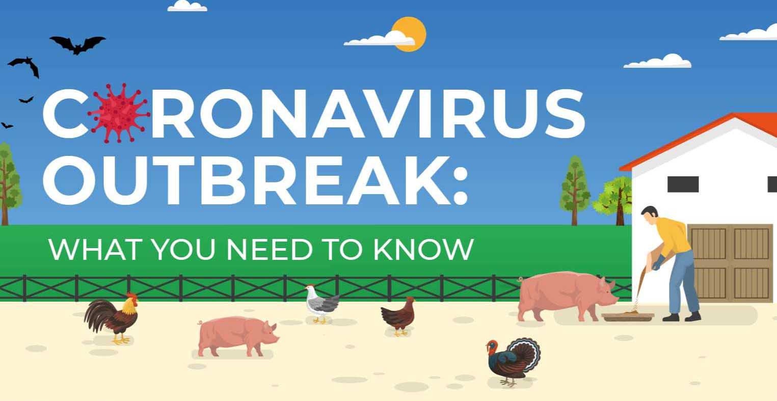 The Novel Coronavirus Outbreak: What You Need To Know