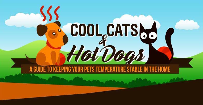 Cool Cats & Hot Dogs: A Guide to Keeping Your Pets Temperature Stable in the Home