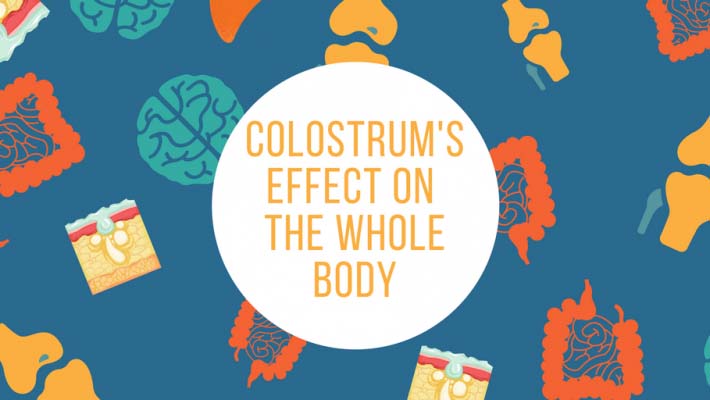 Colostrum’s Effect on the Whole Body