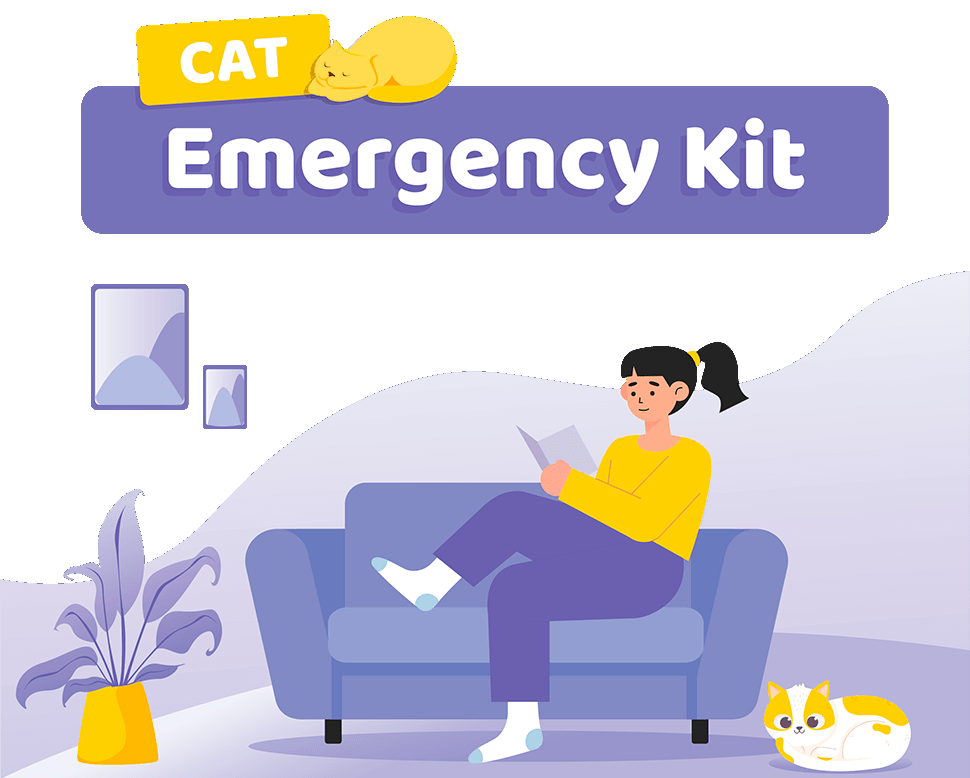 Cat Emergency Kit