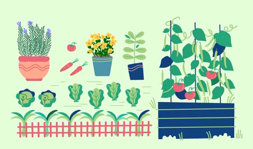 What To Plant When: Planting Calendar