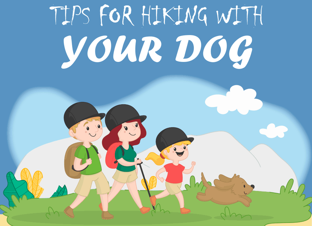 Tips For Hiking With Your Dog