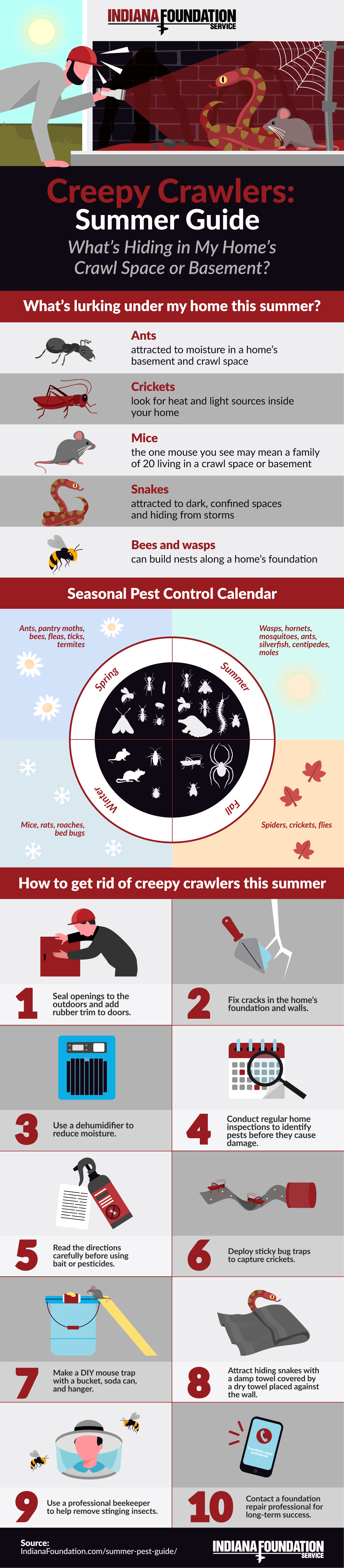 The Ultimate Guide for Dealing with Summer Pests