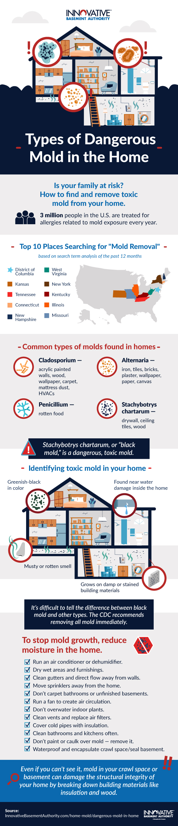 Different Types of Dangerous Mold in Our Homes