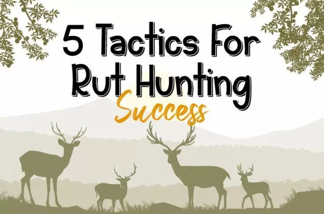 5 Tactics For Rut Hunting Success [Infographic]