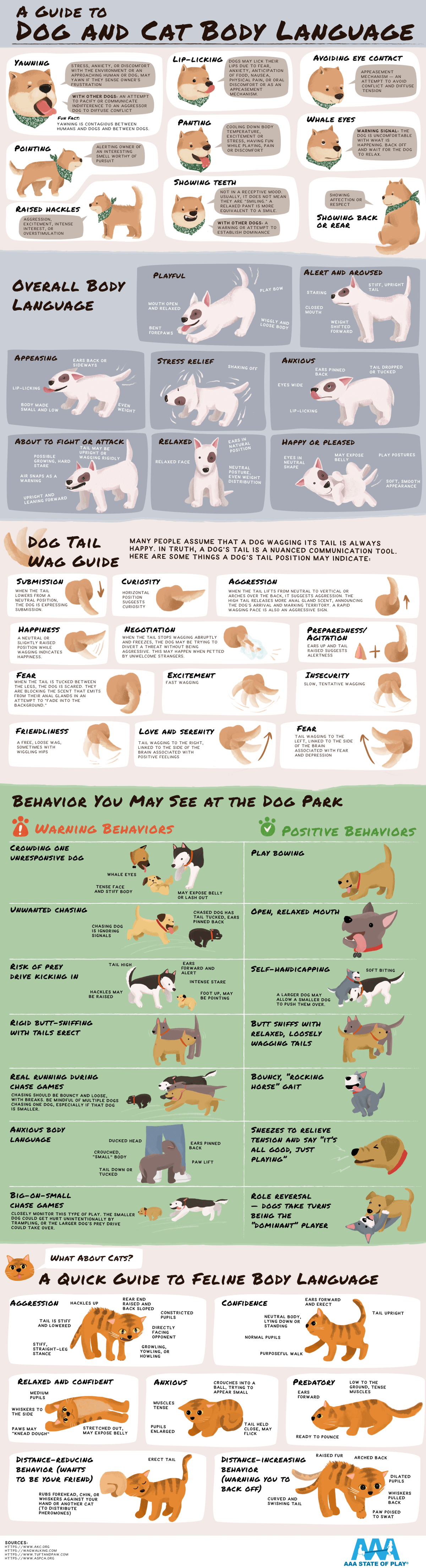 Guide to Cat and Dog Body Language