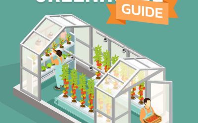Greenhouse Guide – Grow Your Own Food