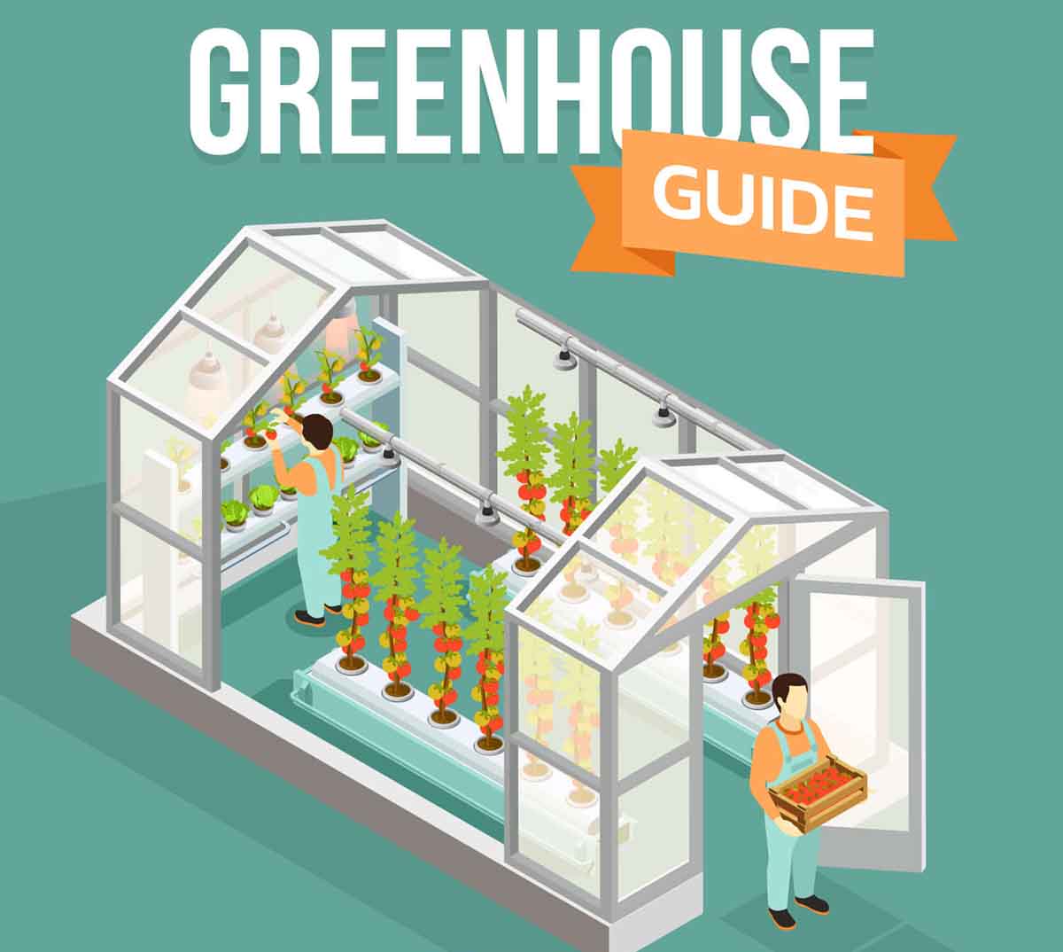 Greenhouse Guide Grow Your Own Food [infographic]