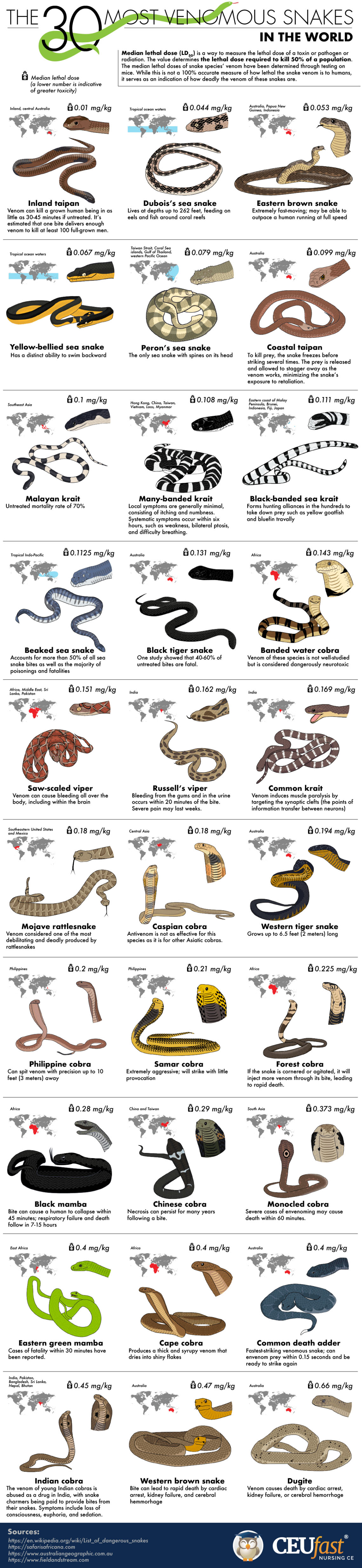 The 30 Most Venomous Snakes in the World