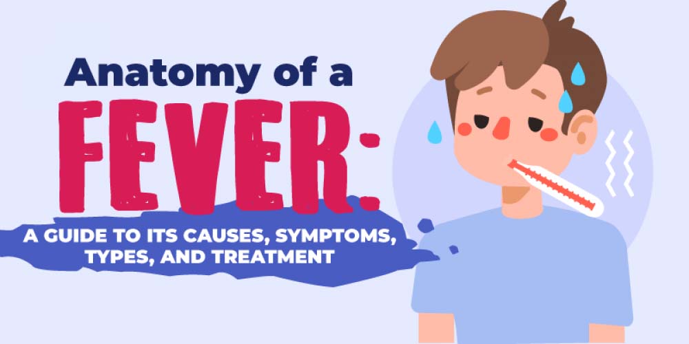Anatomy of a Fever Its Causes, Symptoms, & Treatment [Infographic]