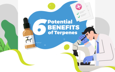 6 Potential Benefits of Terpenes