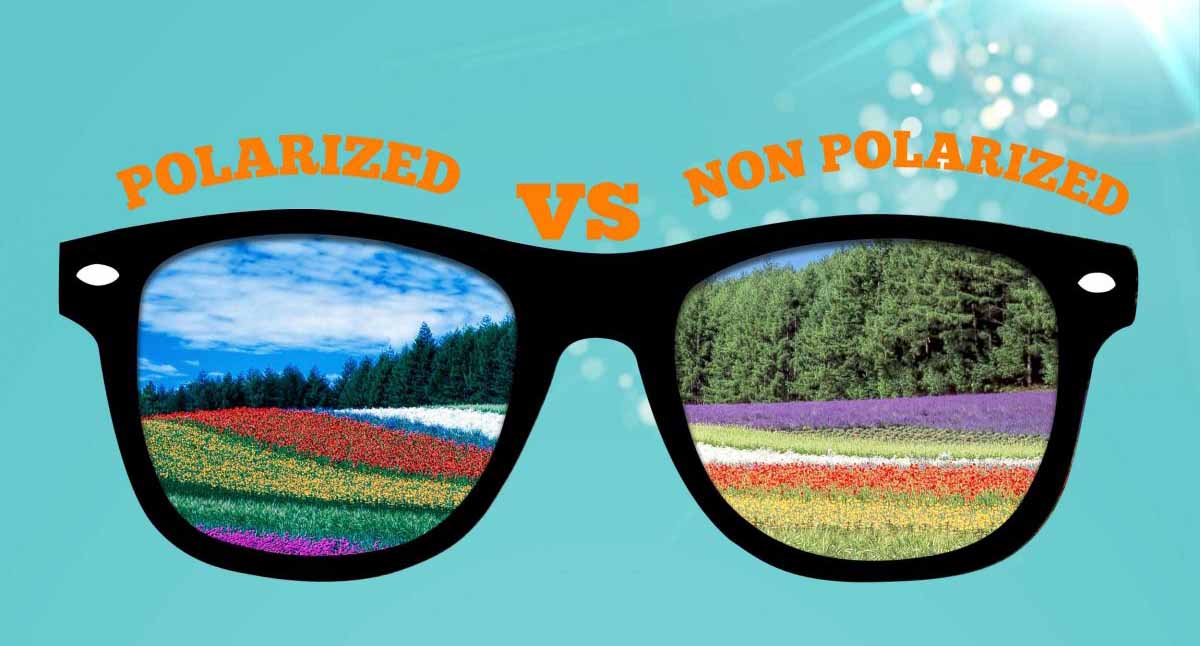 Polarized vs non outlet polarized sunglasses for driving