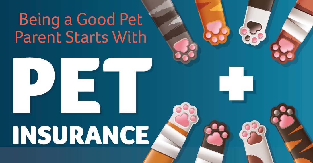 The Benefits of Pet Insurance [Infographic]