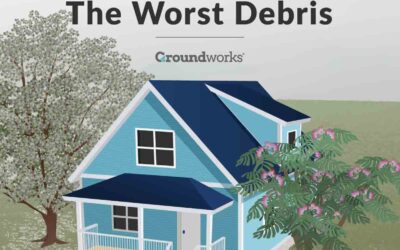Trees to Avoid if You Don’t Want Yard Debris