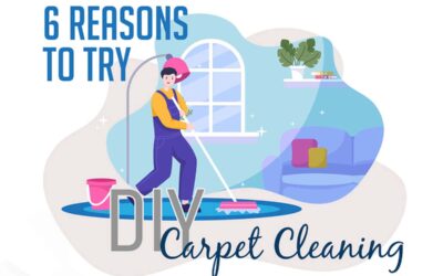 6 Reasons To Try DIY Carpet Cleaning