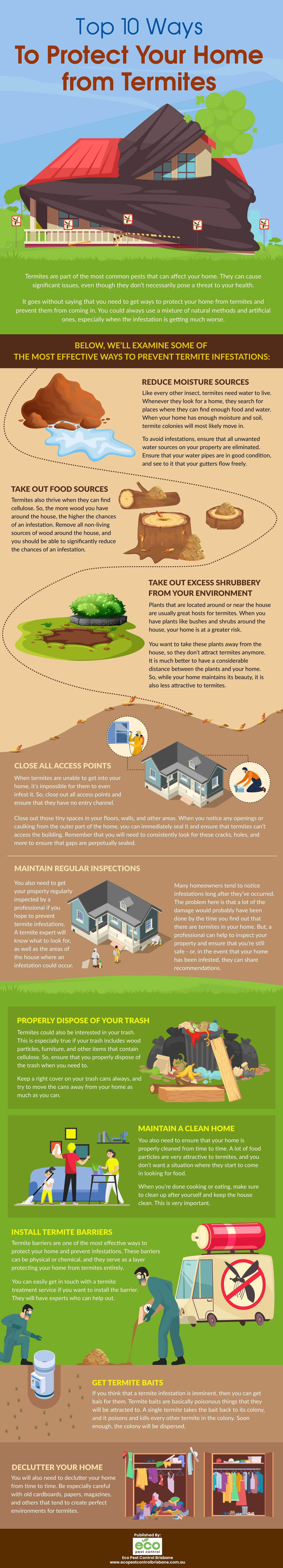 Top 10 Ways To Protect Your Home From Termites