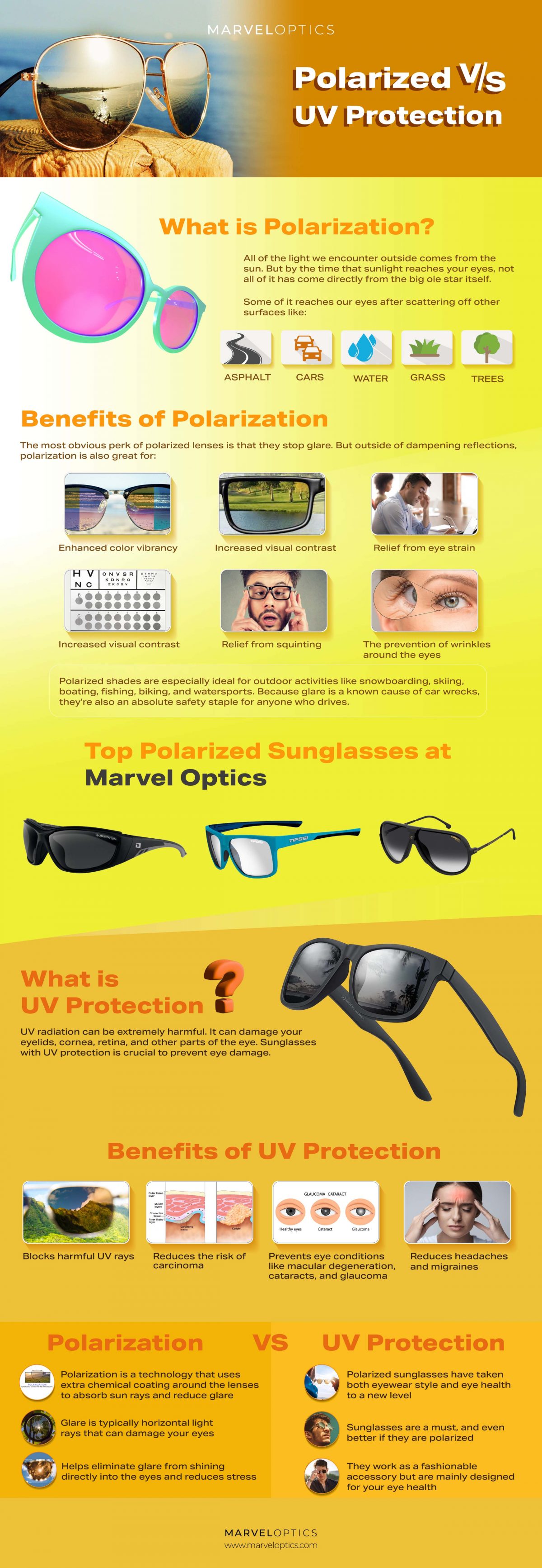 Polarized Vs Uv Protection Choosing The Right Sunglasses Infographic