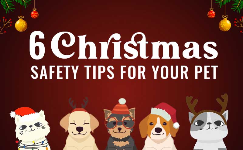 6 Christmas Safety Tips For Your Pets (Infographic)