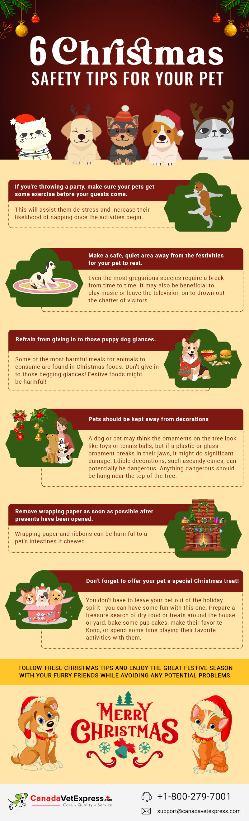 6 Christmas Safety Tips For Your Pets
