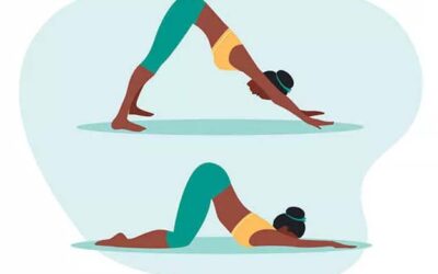 9 Best Yoga Poses for Students