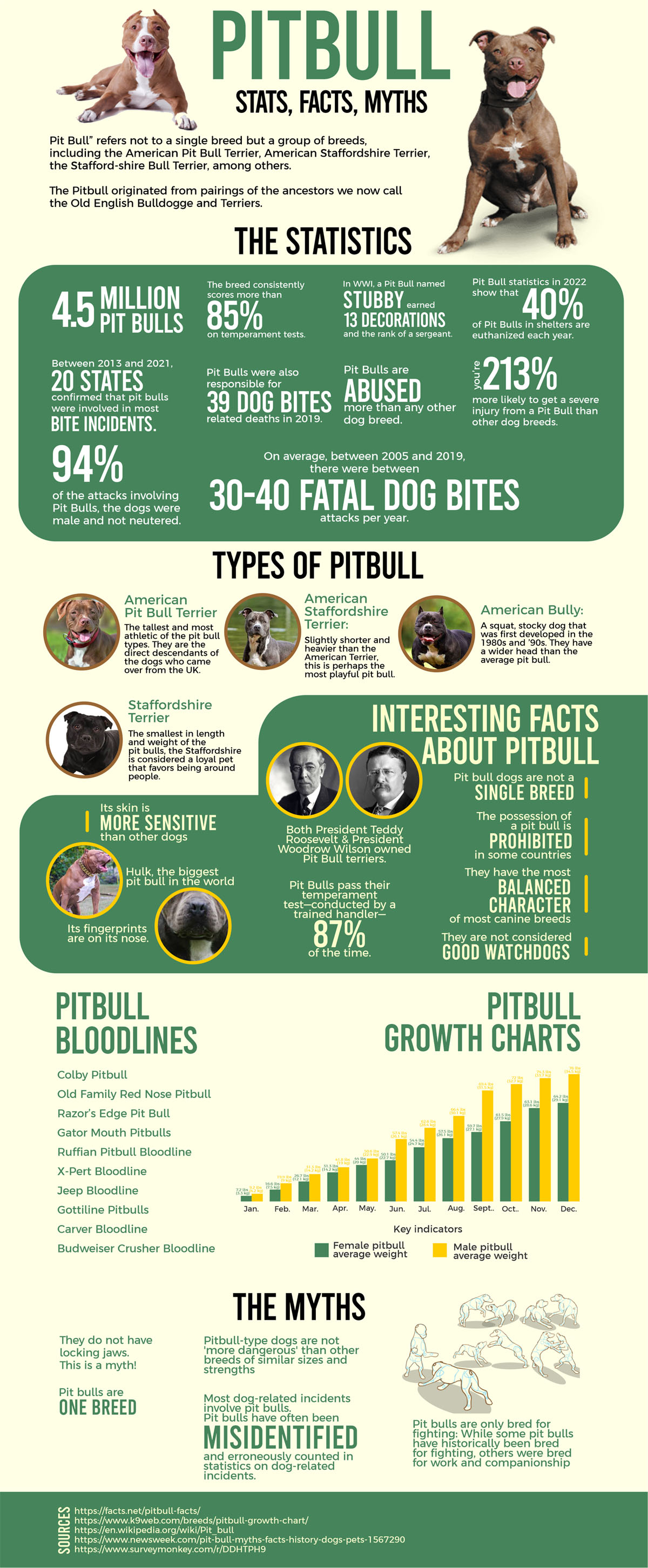 Information about 2024 pit bulls