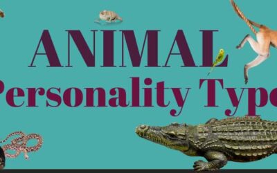 Your Animal Myers-Briggs Personality Type