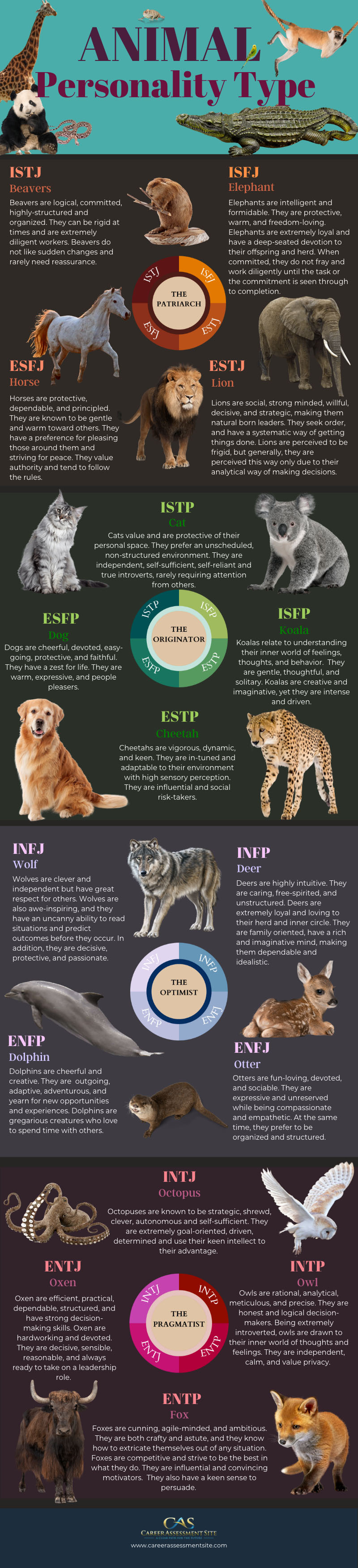 Your Animal Myers-Briggs Personality Type