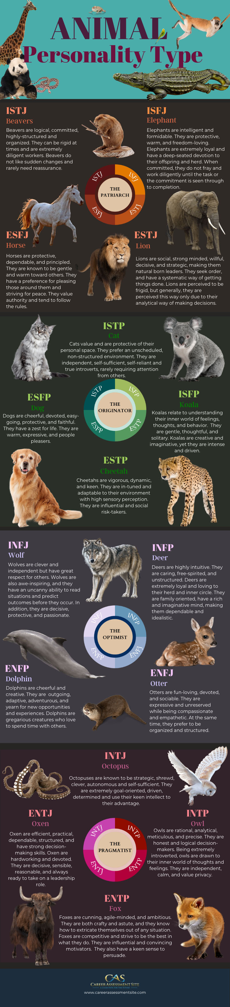 Your Animal Myers-Briggs Personality Type (Infographic)