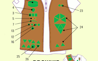 The Ultimate Guide to Girl Scout Pins and Patches and What They Mean