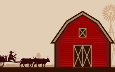 Everything You Need to Know About Metal Barns