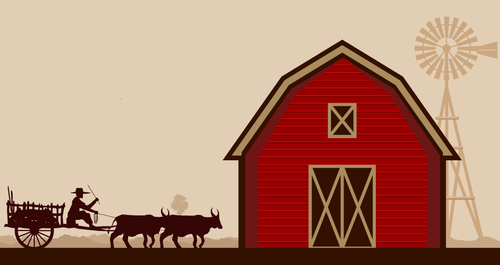 Everything You Need to Know About Metal Barns (Infographic)