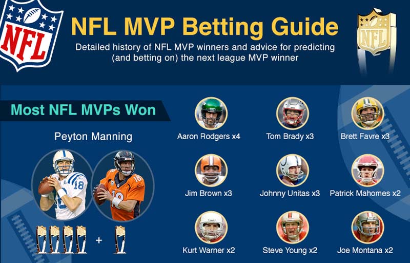 NFL Betting Guide Season 20232024 (Infographic)