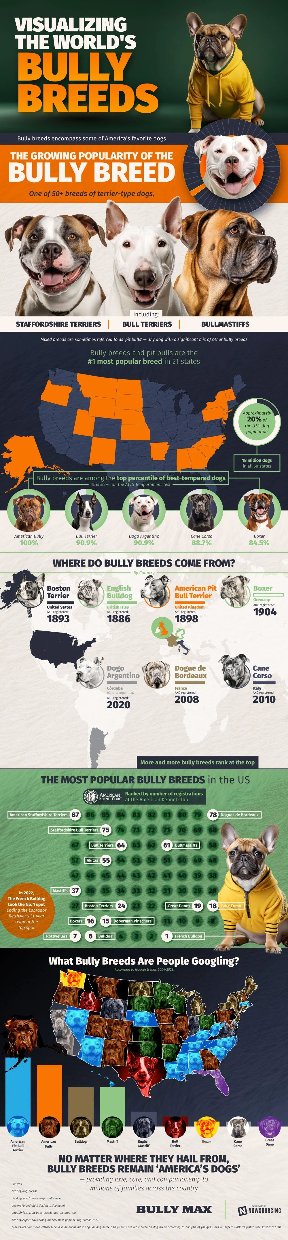 Visualizing the Most Popular Bully Breeds