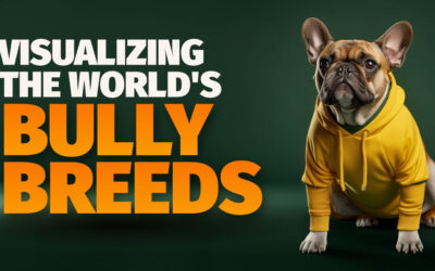 Visualizing the Most Popular Bully Breeds