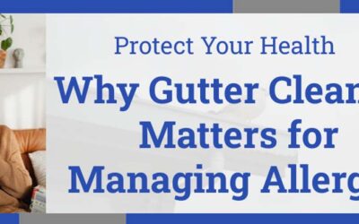 Protect Your Health: Why Gutter Cleaning Matters for Managing Allergies