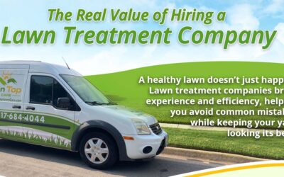 Lawn Care Treatments for a Lush Green Lawn