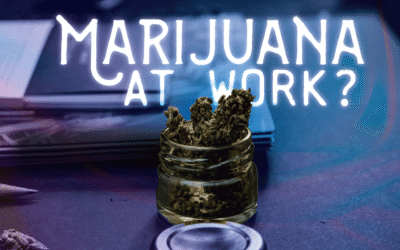 A Guide to State Marijuana Laws