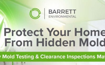 Protect Your Home From Hidden Mold