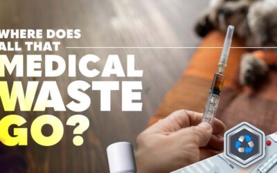 Choosing the Right Medical Waste Service