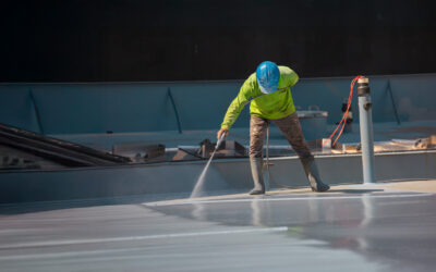Commercial Roof Management: All You Need to Know